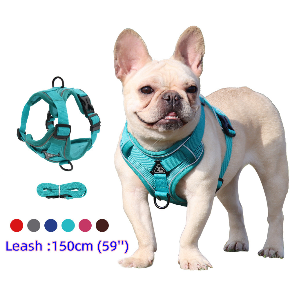 Harness and Leash Set Pet Acce - огляд і ціна Off White Belt