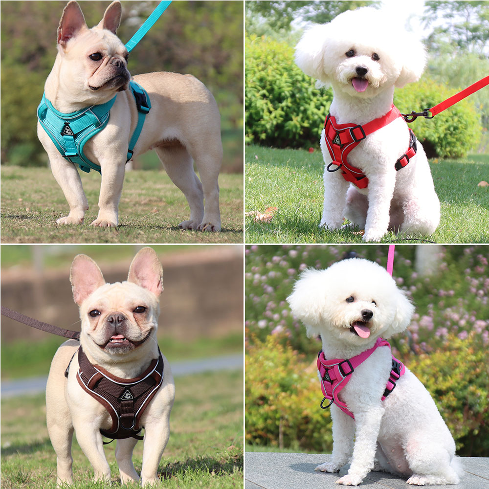 Harness and Leash Set Pet Acce - огляд і ціна Off White Belt