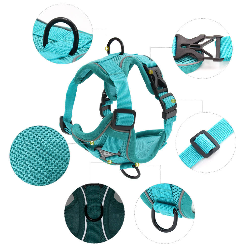 Harness and Leash Set Pet Acce - огляд і ціна Off White Belt